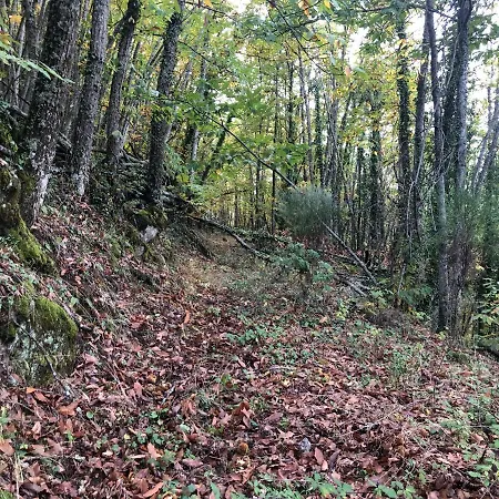 Casa Rural Finca El Molino Prázdninový dům *
