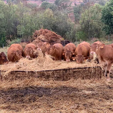Casa Rural Finca El Molino Prázdninový dům