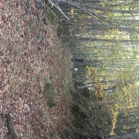 Prázdninový dům Casa Rural Finca El Molino *
